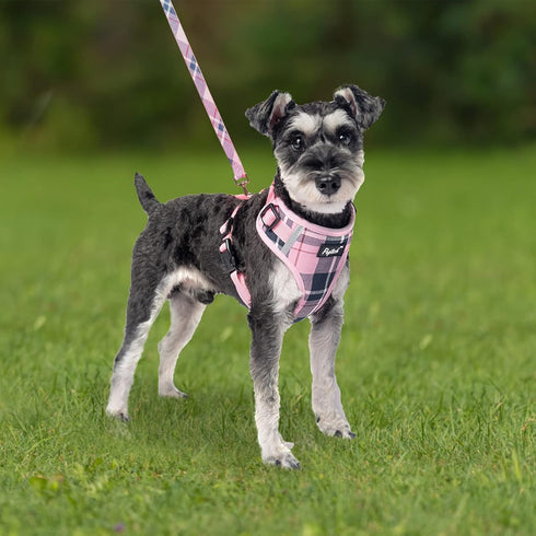 PUPTECK Dog Harness and Leash Collar Set for Small Medium Dogs Puppy and Cats Walking No Pull Adjustable Reflective Soft Mesh Padded Plaid Harness...