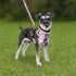 PUPTECK Dog Harness and Leash Collar Set for Small Medium Dogs Puppy and Cats Walking No Pull Adjustable Reflective Soft Mesh Padded Plaid Harness...