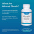 Euromedica Adrenaplex - 60 Capsules - Adrenal Gland Function Supplement - Supports Healthy Adrenal Gland Function & Balanced Mood - 30 Servings...