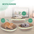 Oval Cute Cat Scratching Bed Couch Lounger for Indoor Cats, Corrugate Cat Cardboard Scratcher Box Durable, Kitty Cat Scratch Pad Lounge Long Lasti...