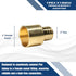 5 Pcs XFITTING 1 Inch Pex x 1 Inch Female Sweat Adapter, 23-1-6=5X...