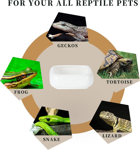 Reptile Food Bowls -Ceramic Square Reptile Water Food Dish, Pet Food Bowl for Lizards, Young Bearded Dragons, Small Snakes, Gecko Tortoise Spider ...