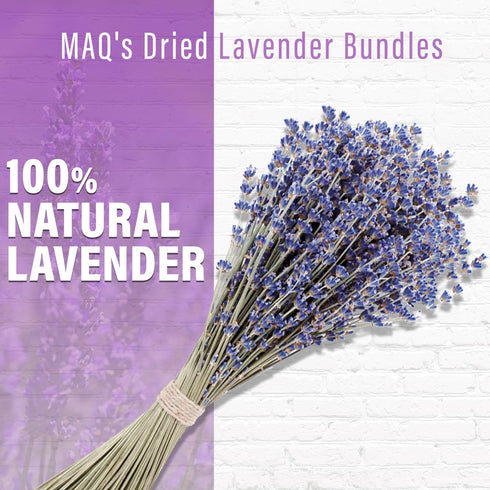 MAQ's Dried Lavender Bundles - 100% Natural Dried Lavender Flowers with 300 Stems (16-17 Inches) for Home Fragrance, Weddings & Party Decoration |...