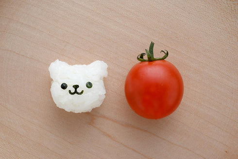 Animal Rice Mold Set – Cute animals Shapes, DIY Bento Lunch Decoration Tool, Easy Rice Shaper, Japanese Kitchen Accessory, Fun Food Cutter Include...