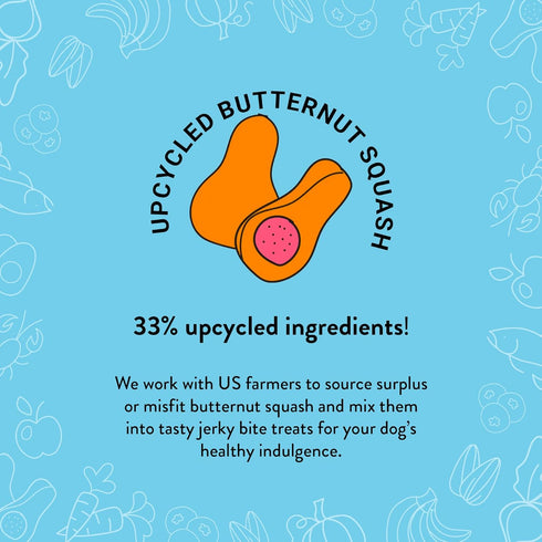 Shameless Pets Jerky Dog Treats, Salmon Loves Butternut - Healthy Dog Chews for Dogs Skin & Coat with Omega 3 & 6 - Dog Treats with Real Wild-Caug...