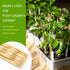 Bamboo Wood Plant Sticks for Garden Stakes Grilling Skewer Plant Sticks for Tomato,Orchid,Potato,Potted House Plants and Hand Crafts -12 Inch 60Pc...