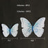 Somotersea 24Pcs 3D Butterfly Wall Decor Removable Butterfly Decoration for Girls Room Butterflies Decals Birthday Party Decorations Kids Bedroom ...