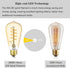 12V LED Edison Bulbs 40W Equivalent, Low Voltage 4W Vintage Style Spiral LED Filament Light Bulbs, E26 Medium Base, Warm White 2700K, Antique ST64...