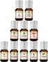 Good Essential - Professional Holiday Fragrance Oil Set Pack of 10 5ml Peppermint, Apple Cinnamon, Hot Chocolate, Cherry, Pumpkin Pie, Candy Cane,...