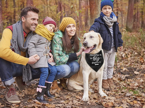 Dog Bandana, Promoted to Big Brother Dog Bandana, Dog Scarf Classical Black Printing, Dog Scarf Accessories, Dog Bandana Pet Scarf, Pet Black Scar...