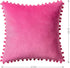 Ashler Throw Pillow Cases with Soft Pom Poms Velvet Plush Vibrant Elegant Cushion Covers, Pack of 2, Pink 20 x 20 inches 50 x 50 cm...