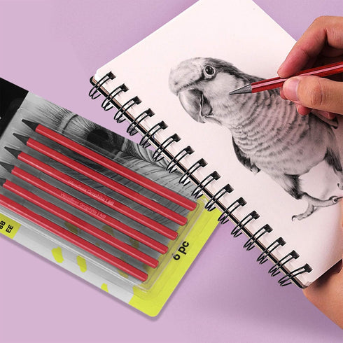 ITODA Professional Charcoal Pencils Drawing Set, Sketch HB, 2B, 4B, 6B, 8B, EE Blending Coloring Book Pencils Graphite Pro Artist Students Beginne...