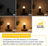 Dimmable LED 3W Small Light Bulb, 25w Equivalent E26 Standard Screw Base, G40 Soft Warm White 2700K 260lm Frosted Lights Bulb for Bathroom, Bedroo...