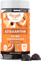 Chewable Astaxanthin Gummies - Natural Astaxanthin 24mg Antioxidant Supplement - Vegan, Non-GMO, Sugar-Free, Gluten-Free, Soy-Fee, 3rd Party Lab T...