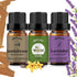yethious Lavender Vanilla Sandalwood Essential Oil 100% Pure Organic Lavender Oil Essential Oil for Diffuser & Aromatherapy, Skin, Massage...