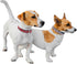 Pets First ST Louis Cardinals Reversible MLB Dog Collar,Large. Premium Home & Away Two-Sided Pet Collar Adjustable with Metal Buckle. Your Favorit...