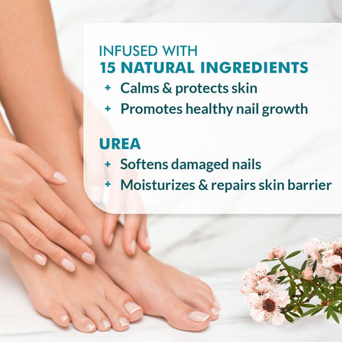Ebanel Athlete's Foot Fungus Treatment Extra Strength, Antifungal Cream with Miconazole, Undecylenic Acid, Tea Tree Oil, Treats Skin Fungi Leading...