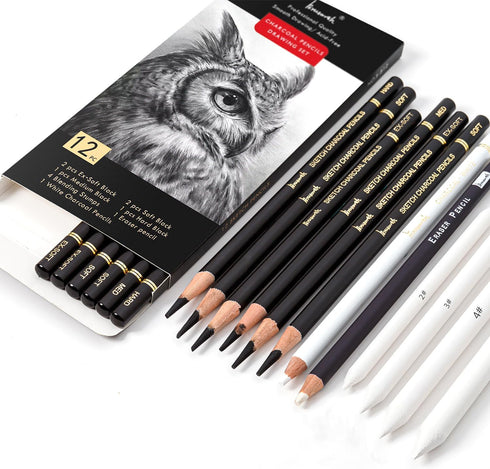Charcoal Drawing Set -12 pc Black charcoal pencils, White Charcoal Pencils, Eraser Pencils, Blending Stumps for Drawing, Sketching, Shading, Artis...