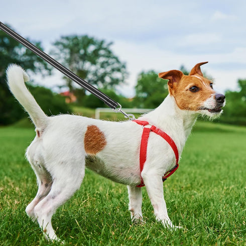 PUPTECK Reflective Short Dog Leash - 3 Packs 2.5ft/ 1.5ft/ 1ft Nylon Dog Leash with Strong Clip, and Soft Padded Handle, Durable Training Leash fo...