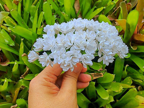 Gypsophila Flower Mulberry Paper Artificial Flowers Wedding Party Decoration DIY Home Decor Craft Cards Supplies Scrapbooking Embellishment (White...