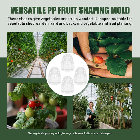 GANAZONO Multipurpose Tool 4Pcs Buddha Shape Melon Shaping Mold Plastic Garden Vegetable Grow Forming Mould Tool Fruit Growing Molds Shaping Tool ...