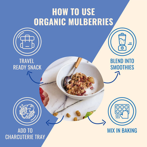 Sunny Fruit Soft Organic Turkish Dried Mulberries - 1 Bag (5 Individual Portion Packs) | No Preservatives, No Sugar Added | Healthy, Convenient Su...