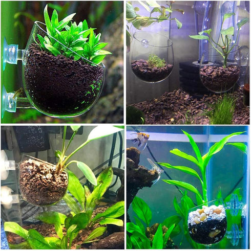 capetsma 2X Crystal Glass Aquatic Plant Pot, Planter, Red Shrimp Live Plants Fish Tank Holder with 4X Suction Cups for Aquarium Aquascape Decorati...