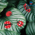 3D Decorative Ladybug Stakes Garden Ladybird Decorations for Yard Patio Lawn Plant Flower Pot Decor, 20 Pcs...