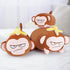Banana Monkey Plush Pillow,Monkey Stuffed Animal Plush Toy,Cute Plushie Banana Monkey Kawaii Pillow,Lovely Monkey Hugging Pillow Gifts for Kids Ad...
