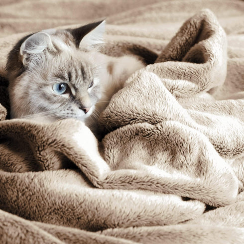 Veehoo Fluffy Fleece Dog Blanket, Soft Cozy Flannel Pet Throw for Dogs and Cats, Washable Couch Bed Blankets Cover for Sofa, Cot, Indoor & Travel,...