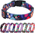 Rhea Rose Dog Collar for Large Dogs Special Design Cute Black Floral Plant Pattern Girl Female Pet Collar (Black, L)...