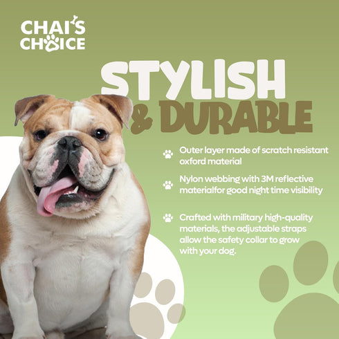 Chai's Choice Dog Collar Medium (Army Green) | Comfortable & Stylish Pet Collar with Adjustable Strap Neoprene Padded | No-Choke & Quick Release |...