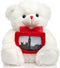 HollyHOME Teddy Bear Stuffed Animal Plush Bear with Red Bow Holding a Picture frame Soft Plush Toy Christmas Valentine's Day Gift 12 Inches White...