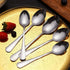 HANSGO Teaspoons Stainless Steel, 6 Piece Dinner Spoons Set 6.7 inches Dessert Spoons Use for Home, Kitchen or Restaurant...