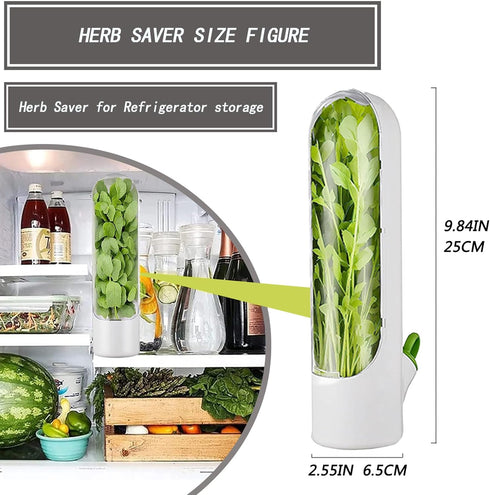 Herb Saver, Herb Keeper for Refrigerator, Cilantro Containers for Refrigerator, Herb Saver Pod, Fresh Herb Keeper for Cilantro, Parsley, Asparagus...