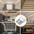 COB LED Light Strip Connectors 20pcs 8mm 2Pin Strip to Wires LED Tape Light Connectors,Transparent Solderless No Dark Area for LED Lights Connecto...