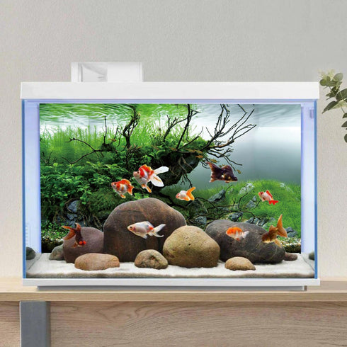 AWERT 24x16 inches Branches Fish Tank Background Seaweed Aquarium Background River Bed & Lake Aquarium Background Vinyl Background...