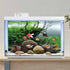 AWERT 24x16 inches Branches Fish Tank Background Seaweed Aquarium Background River Bed & Lake Aquarium Background Vinyl Background...