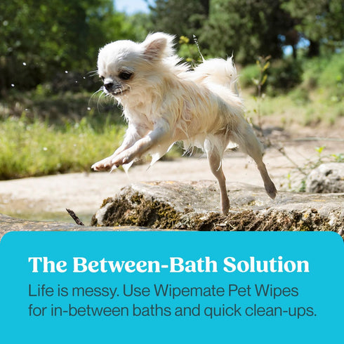 Dog & Cat Wipes Cleans Pet Paws, Ears, Fur, Butt, & Anal Gland, Pet Wipes - No-Rinse Solution, Gentle, Deodorizing, Hypoallergenic, for Small/Medi...
