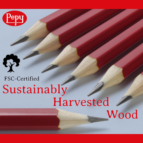 Pepy Graphite Professional Drawing Pencils - Set of 12 HB Pre-Sharpened Black Lead Pencils; Perfect for Drawing, Sketching and Shading, Graphic an...