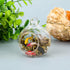 Mini Koi Fish 20 Pcs Goldfish Figurines Miniature Tiny Carps Garden Supplies, Plastic Fish Figures Small Goldfish Miniature Carp Ornament Garden D...