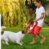 GAOMON Squeaky Dog Toys, Durable Plush Chew Toys in Fox Shape, Interactive Tug of War Toy for Small and Medium Dogs...
