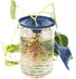 Propagation Cone for Supporting and Displaying New Plant Cuttings - Pack of 3 (Deep Blue)...