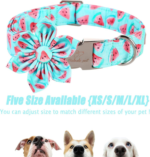 Dog Collar with Blue Watermelon Flower Tie,Cotton Dog Collar with Safety Metal Buckle Adjustable Puppy Collars for Small Medium Large Boy&Girl Dog...