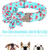 Dog Collar with Blue Watermelon Flower Tie,Cotton Dog Collar with Safety Metal Buckle Adjustable Puppy Collars for Small Medium Large Boy&Girl Dog...