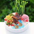 ONEST 12 Pieces Garden Miniature Accessories Mini Hedgehogs Mushroom Garden Micro Landscape Garden Ornament Figurines for DIY Craft Garden Decor...