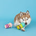 Fringe Studio Dog Toy Set, Best-Teas, 2Pc Mini, Latex, Pet Shop Collection (368012)...