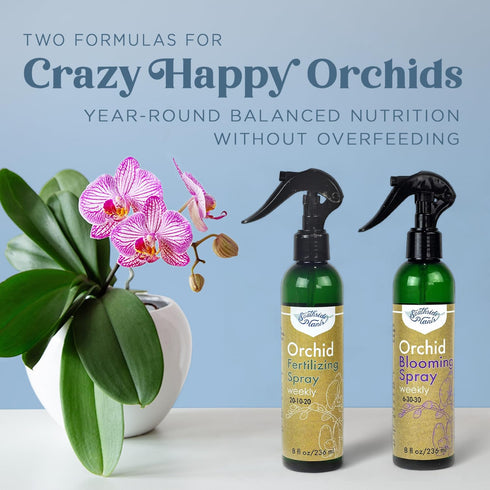 Orchid Fertilizing Spray - Perfect Nutrition and Humidity The Bring Dormant Orchids Back to Life - 8 oz...