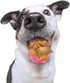 Fun Pet Group: PB Bombitas - 7oz - Fun Treats For SM-Med Dogs, Peanut Butter - Divertidos Premios Para Perros Pequeños-Medianos, Mantequilla de Ma...