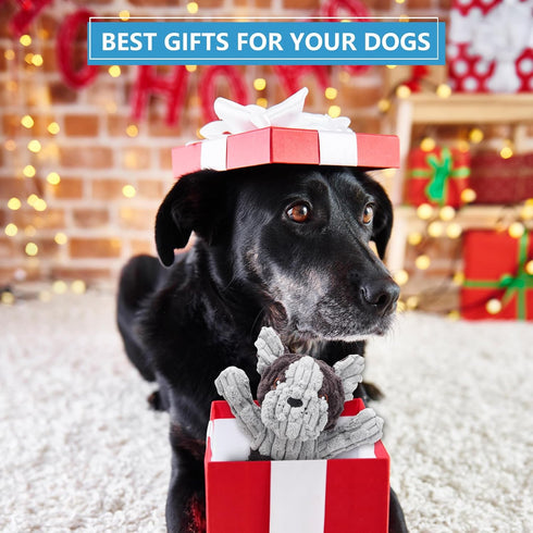 Plush Dog Squeak Toys with Crinkle Paper - Pull Interactive Tug of War Dog Toy, Great for Dental Health, Strengthening Bonds and Anxiety Relief fo...